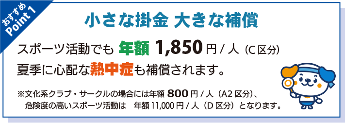 小さな掛金、大きな補償