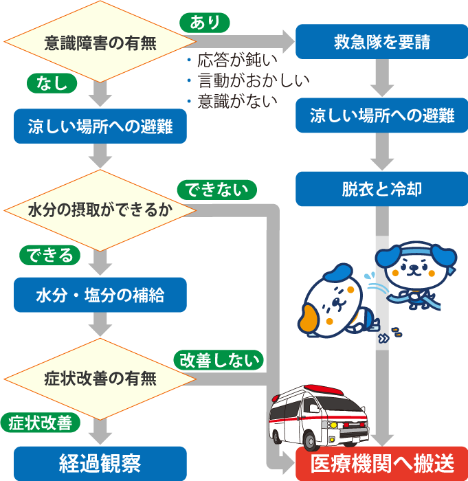 熱中症発生時の対処フロー